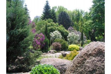 Ogród botaniczny Chmielnickiego uniwersytetu narodowego